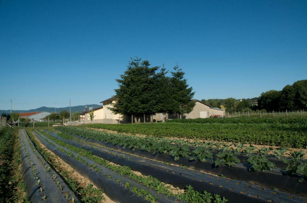 Agriturismo Fiorella Camigliatello Silano Extérieur photo
