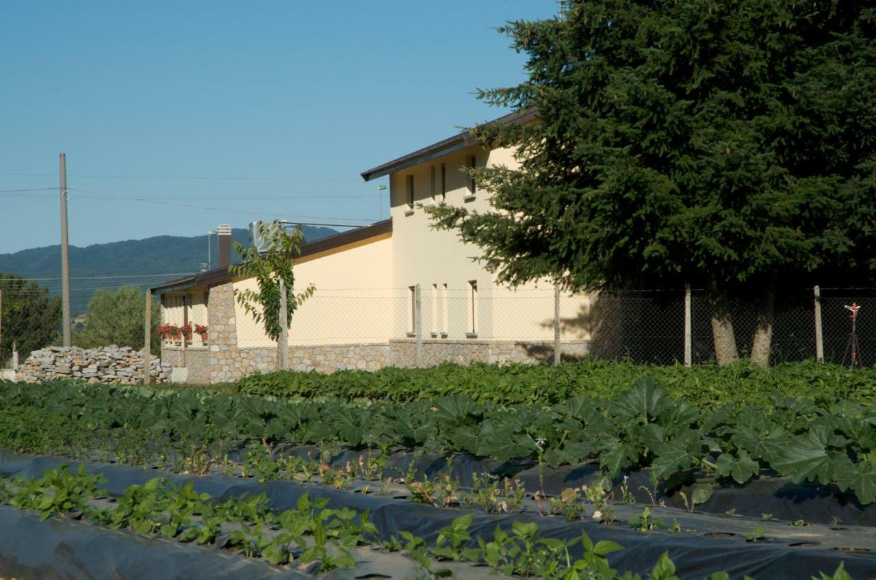 Agriturismo Fiorella Camigliatello Silano Extérieur photo